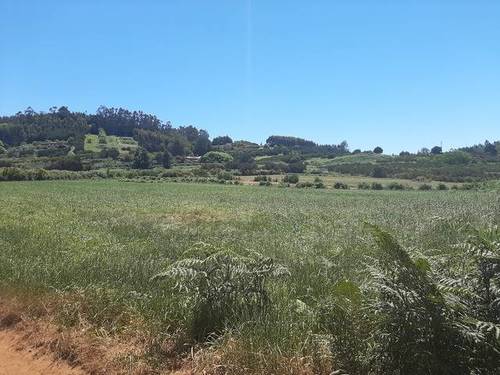 imagen 1 de Venta de terreno agrícola o ganadero en La Esperanza