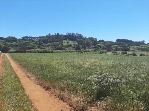 imagen 1 de Venta de terreno agrícola o ganadero en La Esperanza