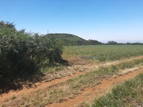 imagen 3 de Venta de terreno agrícola o ganadero en La Esperanza