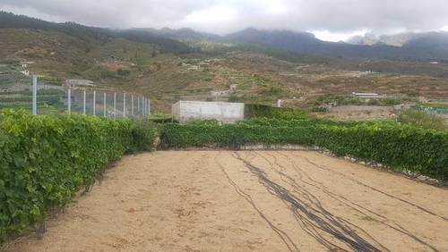 imagen 2 de Venta de finca rústica con vivienda en Güímar