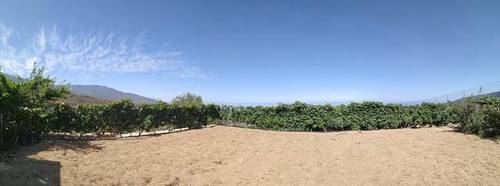 imagen 4 de Venta de finca rústica con vivienda en Güímar
