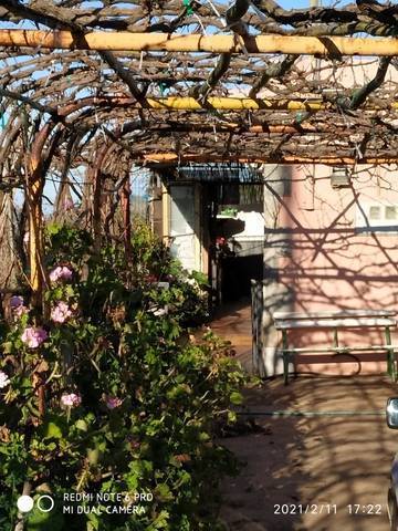 imagen 3 de Venta de finca con vivienda y viñedo en El Sauzal (Tenerife)