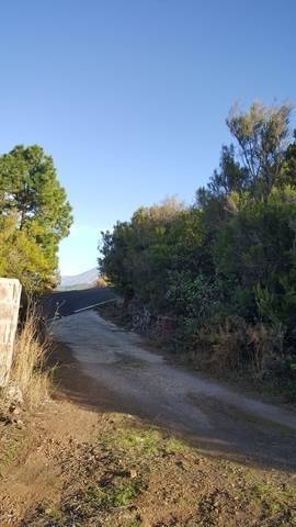 imagen 4 de Venta de finca con cuarto de aperos en  San José de los Llanos (Tenerife)