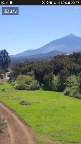 imagen 1 de Venta de finca con cuarto de aperos en  San José de los Llanos (Tenerife)