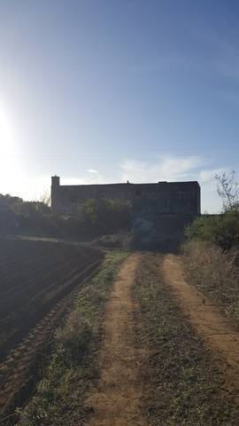 imagen 3 de Venta de finca con cuarto de aperos en  San José de los Llanos (Tenerife)