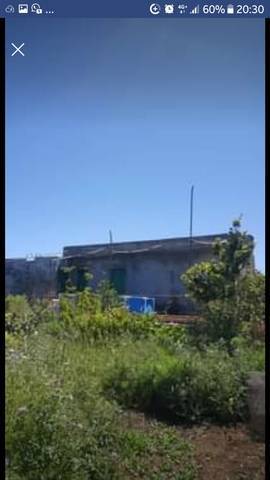 imagen 2 de Venta de finca con cuarto de aperos en  San José de los Llanos (Tenerife)