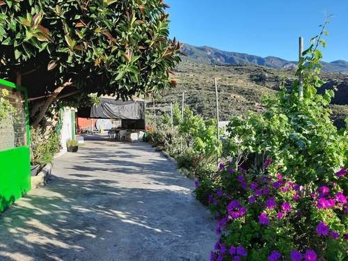 imagen 3 de Venta de finca rústica con vivienda en Güímar (Tenerife)