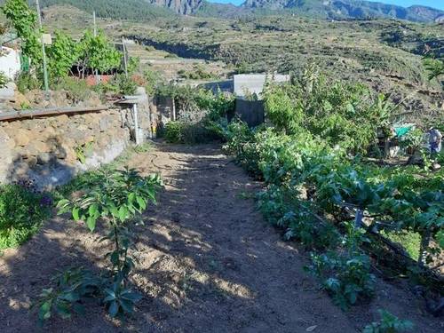 imagen 1 de Venta de finca rústica con vivienda en Güímar (Tenerife)
