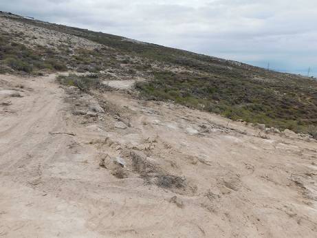 imagen 2 de Venta de finca rústica con posibilidad de agricultura ecológica en La Medida (Tenerife)