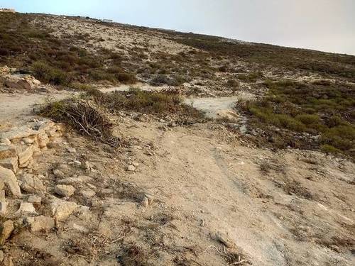 imagen 3 de Venta de finca rústica con posibilidad de agricultura ecológica en La Medida (Tenerife)