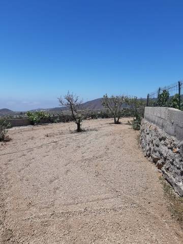 imagen 4 de Venta de precios finca con vivienda y terreno en Granadilla