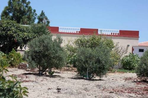 imagen 2 de Venta de precios finca con vivienda y terreno en Granadilla