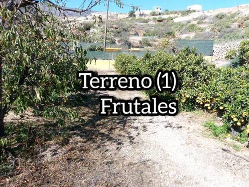 imagen 1 de Venta de finca urbana con vivienda en La Zarza (Tenerife)