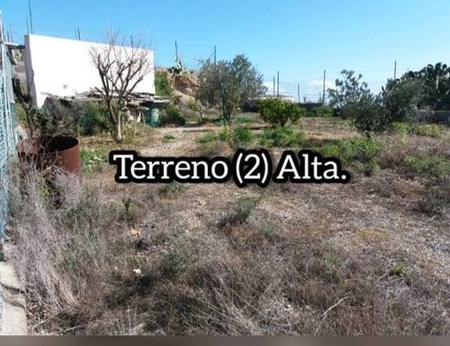 imagen 1 de Venta de finca urbana con vivienda en La Zarza (Tenerife)