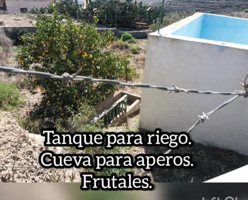 imagen 2 de Venta de finca urbana con vivienda en La Zarza (Tenerife)