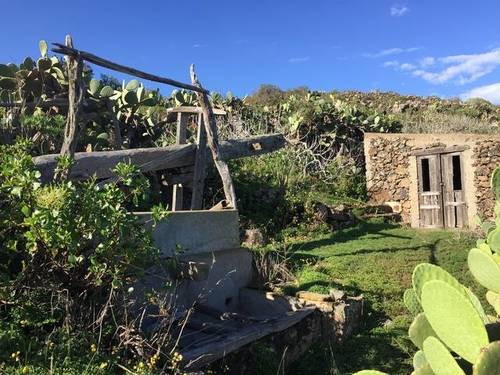 imagen 1 de Venta de finca con bodega y lagar a reformar en Valverde del Hierro