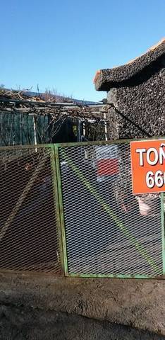 imagen 1 de Venta de finca con viñedo Santa Úrsula (Tenerife)