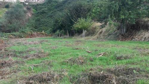 imagen 2 de Venta de terreno en Los Realejos (Tenerife)