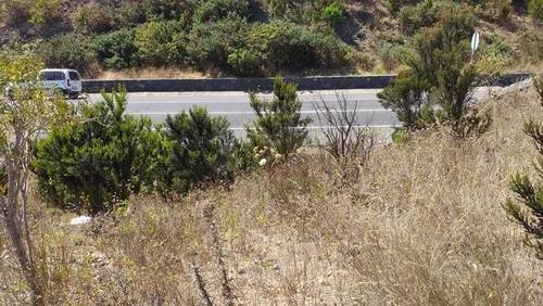 imagen 2 de Venta de terreno con bonitas vistas en Garachico (Tenerife)
