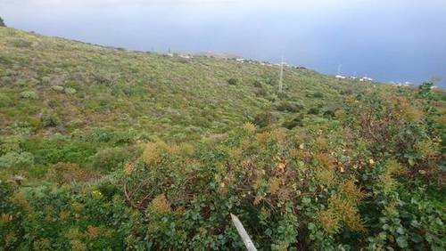 imagen 1 de Venta de terreno con casa de aperos en Mazo (Tenerife)