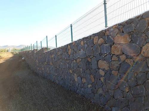 imagen 2 de Venta de finca con viñedos en Vilaflor (Tenerife)