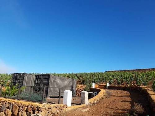 imagen 3 de Venta de finca con viñedos en Vilaflor (Tenerife)