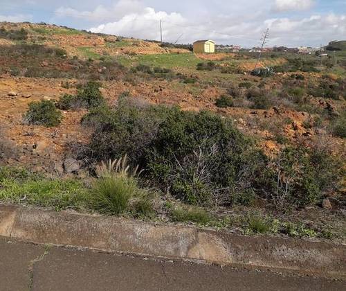 imagen 1 de Venta de finca rústica en La Esperanza (Tenerife)