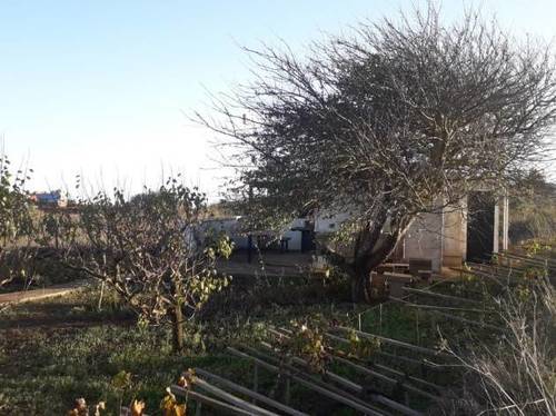 imagen 1 de Venta de finca rústica con viñas  centenarias en La Esperanza (Tenerife)