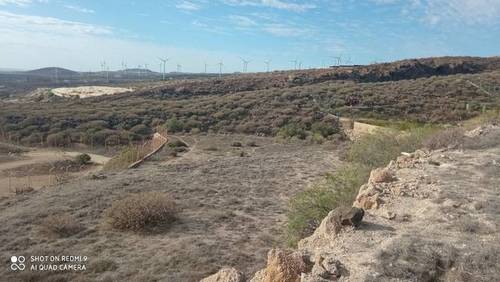 imagen 2 de Venta de finca con luz y agua en Fasnia (Tenerife)