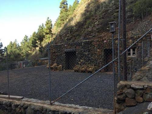 imagen 1 de Venta de finca con bodega en El Paso (Tenerife)