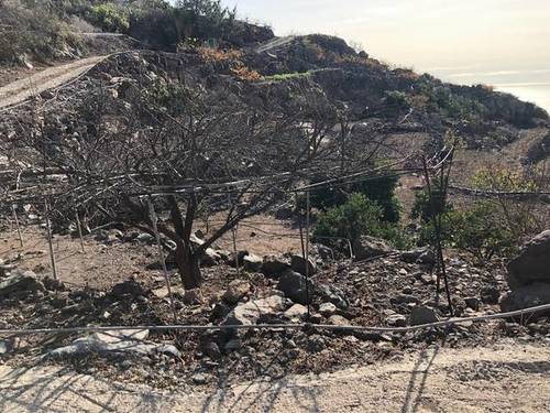 imagen 4 de Venta de terreno rústico con agua en Santiago del Teide (Tenerife)