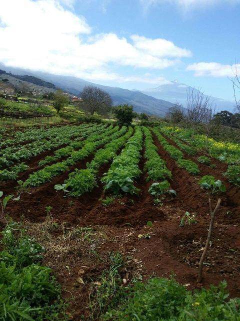 imagen 3 de Venta de terreno rústico en Ravelo