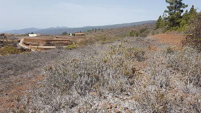 imagen 1 de Venta de terreno en Guía de Isora