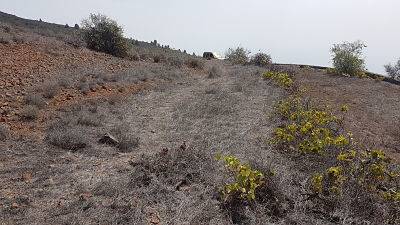 imagen 2 de Venta de terreno en Guía de Isora