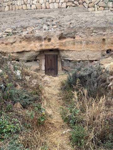 imagen 1 de Venta de finca con charca y cueva en Fasnia (Tenerife)
