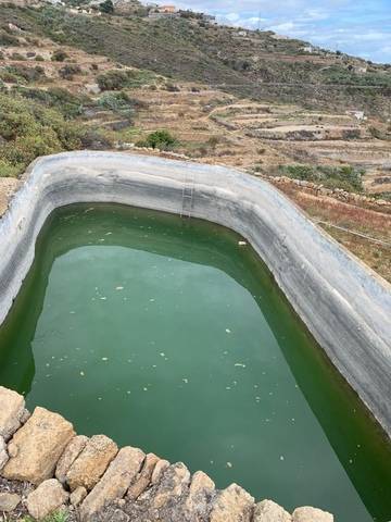 imagen 1 de Venta de finca con charca y cueva en Fasnia (Tenerife)