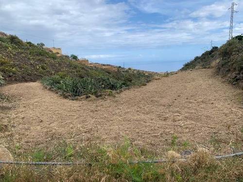 imagen 5 de Venta de finca con charca y cueva en Fasnia (Tenerife)