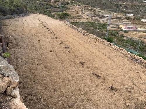 imagen 2 de Venta de finca con charca y cueva en Fasnia (Tenerife)
