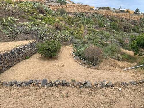 imagen 6 de Venta de finca con charca y cueva en Fasnia (Tenerife)