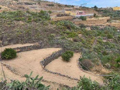 imagen 3 de Venta de finca con charca y cueva en Fasnia (Tenerife)