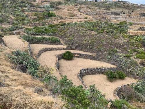 imagen 4 de Venta de finca con charca y cueva en Fasnia (Tenerife)