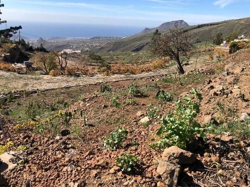 imagen 5 de Venta de terreno con casas para restaurar en Jama (Tenerife)