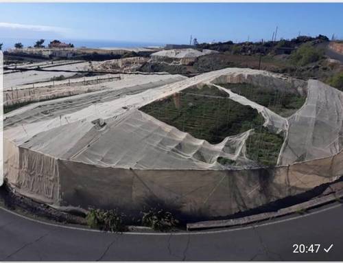 imagen 3 de Venta de terreno con estanque e invernaderos en Guia de Isora (Tenerife)