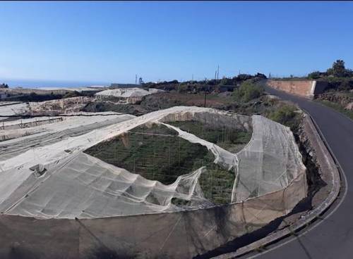 imagen 2 de Venta de terreno con estanque e invernaderos en Guia de Isora (Tenerife)