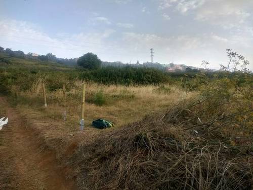 imagen 2 de Venta de terreno rústico en El Sauzal
