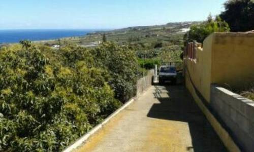 imagen 5 de Venta de finca con frutales en Buenavista del Norte (Tenerife)