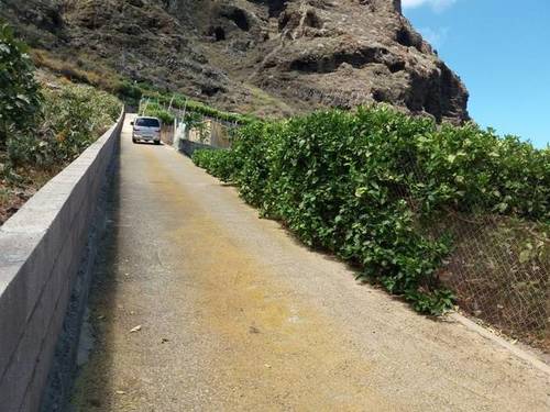 imagen 2 de Venta de finca con frutales en Buenavista del Norte (Tenerife)
