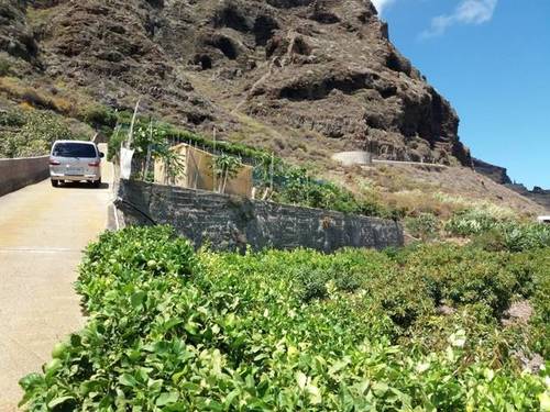 imagen 3 de Venta de finca con frutales en Buenavista del Norte (Tenerife)