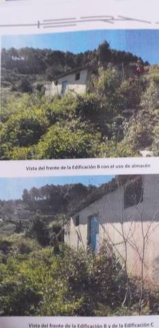 imagen 1 de Venta de finca con frutales y casa a reformar en Icod de los vinos (Tenerife)