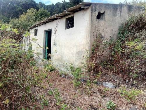 imagen 1 de Venta de finca con frutales y casa a reformar en Icod de los vinos (Tenerife)